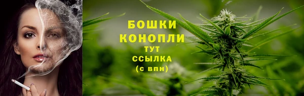 МДПВ Богданович
