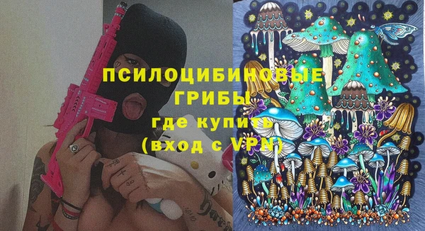 MDMA Богородицк