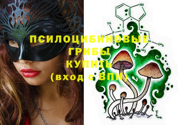 МДПВ Богданович