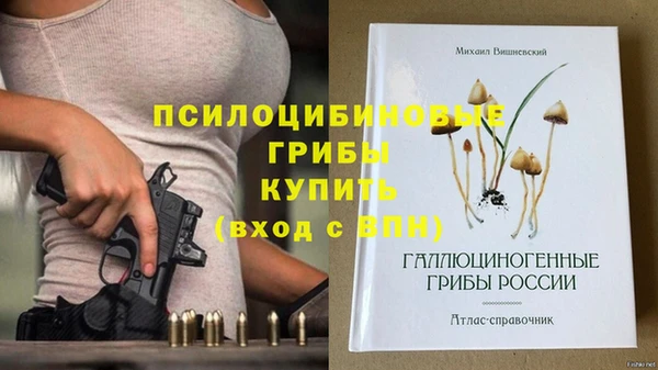 MDMA Богородск