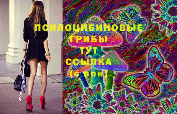 MDMA Богородицк