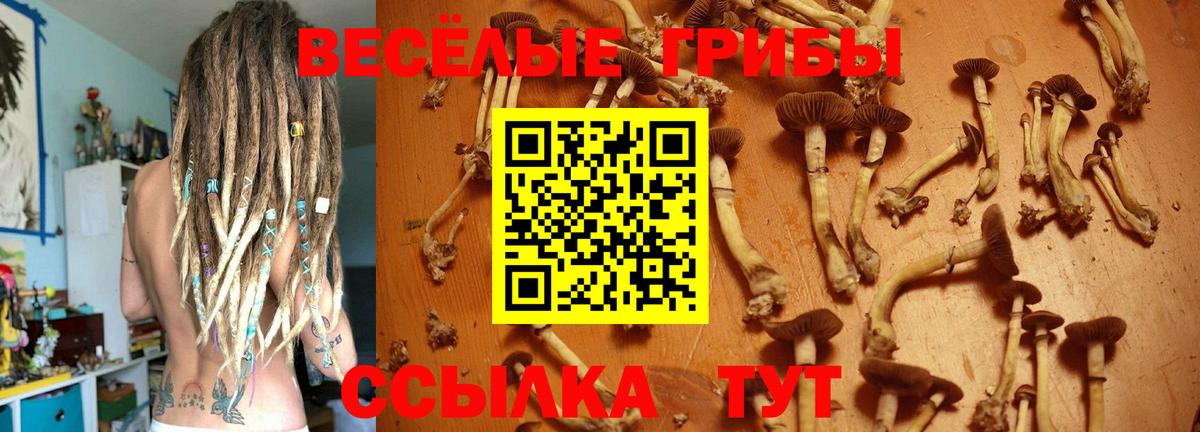 Верхняя Пышма  Псилоцибиновые грибы мухоморы  Вход с VPN  Галлюциногенные грибы GOLDEN TEACHER 